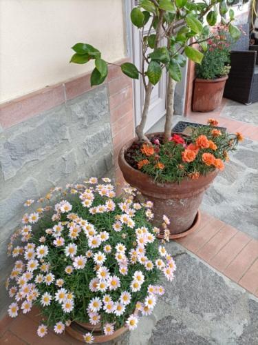 Chianti-home Palagione Holiday home *