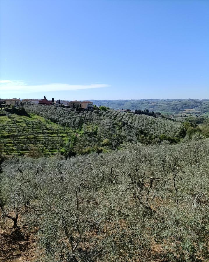 Chianti-home Palagione Holiday home *